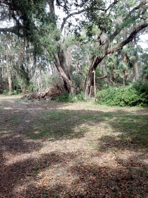 Oatland Hurricane-02.jpg